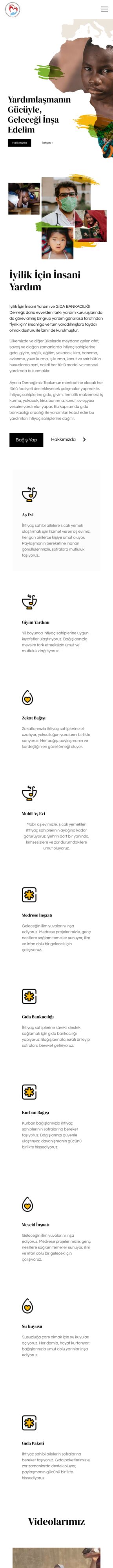 Mobil Resmi